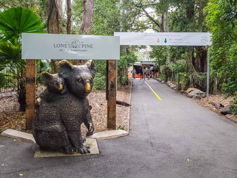 Lone Pine Koala Sanctuary