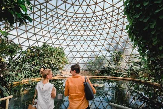 Brisbane Botanic Gardens